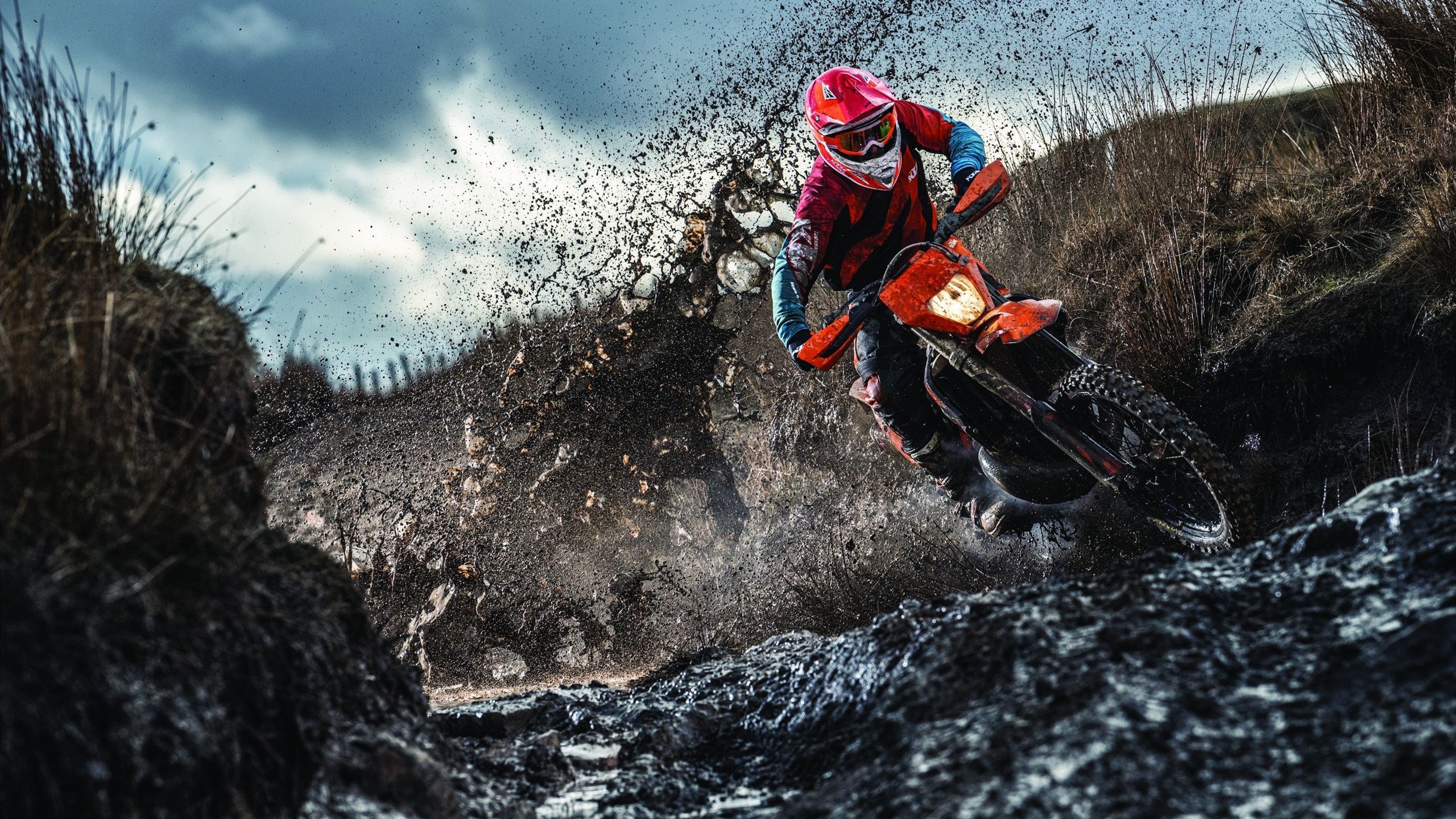 智能分析系统帮助教练科学制定训练计划，智能训练价值是什么意思