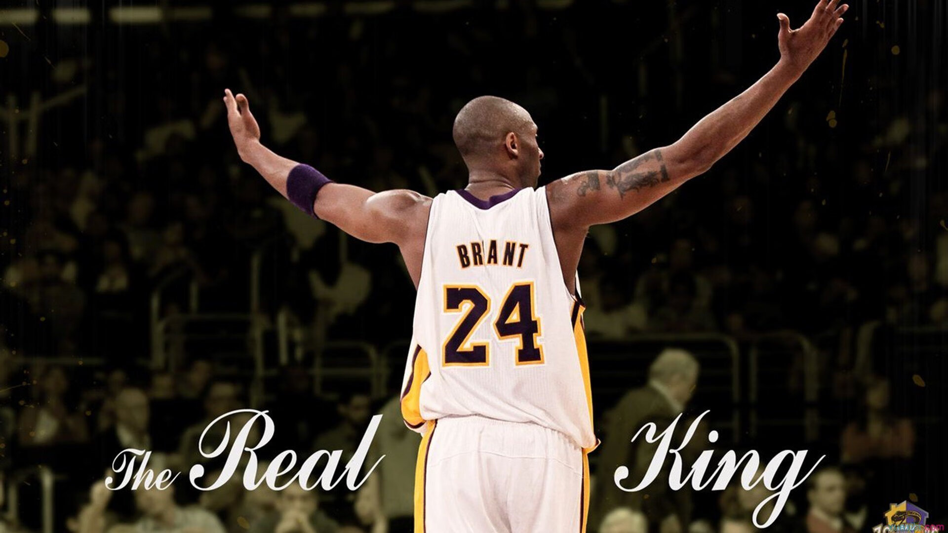 校园篮球“微电影比赛”激发青少年运动激情，篮球励志微电影剧本